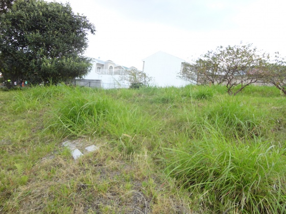 Guayabos, San Jose, ,Terreno,Venta,1164