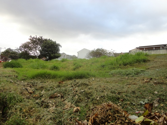 Guayabos, San Jose, ,Terreno,Venta,1164