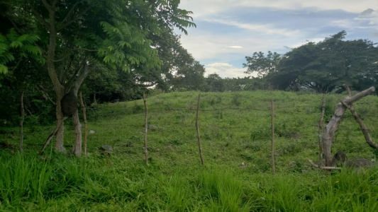 Alajuela, ,Terreno,Venta,1199