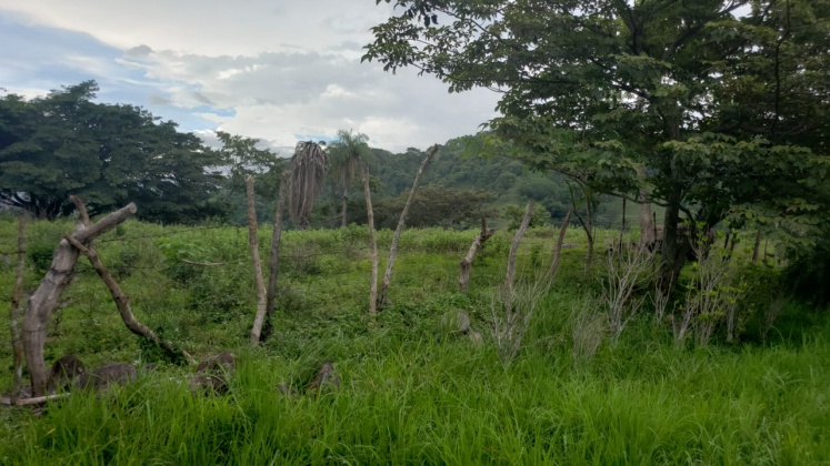 Alajuela, ,Terreno,Venta,1199 Alajuela, ,Terreno,Venta,1199