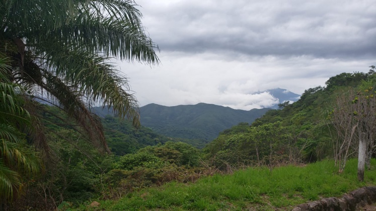 Alajuela, ,Terreno,Venta,1199 Alajuela, ,Terreno,Venta,1199