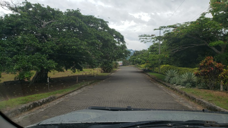 Alajuela, ,Terreno,Venta,1199 Alajuela, ,Terreno,Venta,1199