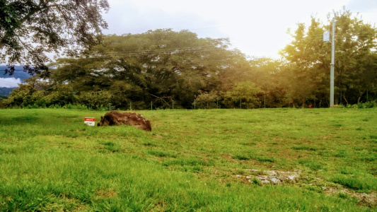 Guacima, Alajuela, ,Terreno,Venta,1201 Guacima, Alajuela, ,Terreno,Venta,1201