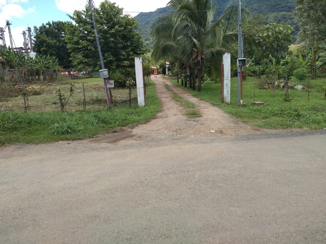 Palmar Norte, Puntarenas, ,Terreno,Venta,1238