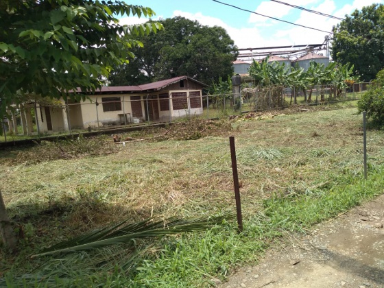 Palmar Norte, Puntarenas, ,Terreno,Venta,1238 Palmar Norte, Puntarenas, ,Terreno,Venta,1238