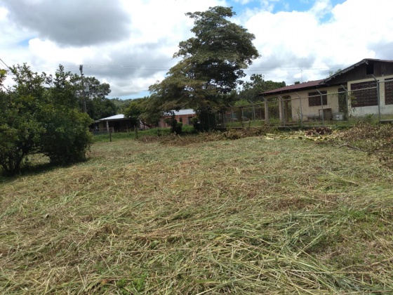 Palmar Norte, Puntarenas, ,Terreno,Venta,1238 Palmar Norte, Puntarenas, ,Terreno,Venta,1238