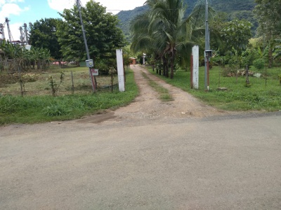 Palmar Norte, Puntarenas, ,Terreno,Venta,1238