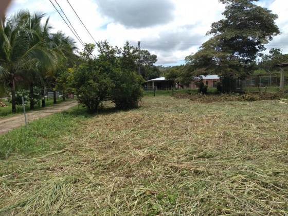 Palmar Norte, Puntarenas, ,Terreno,Venta,1238 Palmar Norte, Puntarenas, ,Terreno,Venta,1238