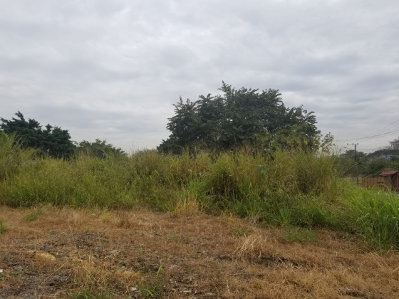 Pazos, San Jose, ,Terreno,Venta,1246 Pazos, San Jose, ,Terreno,Venta,1246