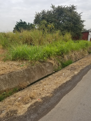 Pazos, San Jose, ,Terreno,Venta,1246 Pazos, San Jose, ,Terreno,Venta,1246