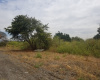 Pazos, San Jose, ,Terreno,Venta,1246 Pazos, San Jose, ,Terreno,Venta,1246