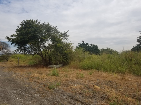 Pazos, San Jose, ,Terreno,Venta,1246 Pazos, San Jose, ,Terreno,Venta,1246