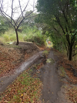 Lindora, San Jose, ,Terreno,Venta,1248 Lindora, San Jose, ,Terreno,Venta,1248