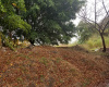 Lindora, San Jose, ,Terreno,Venta,1248 Lindora, San Jose, ,Terreno,Venta,1248