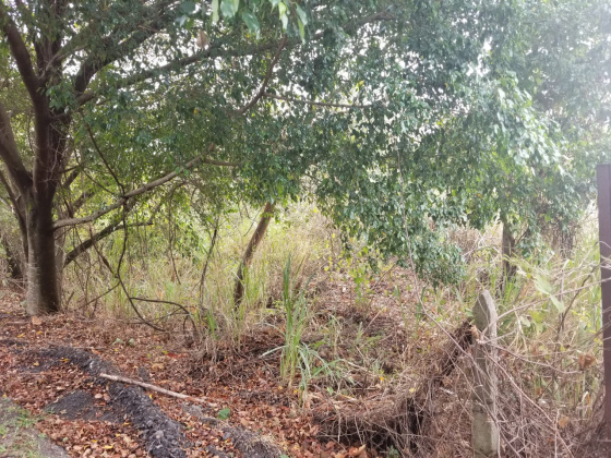 Lindora, San Jose, ,Terreno,Venta,1248 Lindora, San Jose, ,Terreno,Venta,1248
