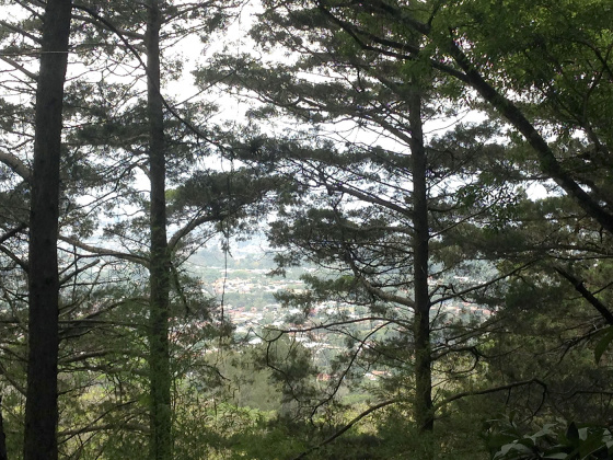 Carrizal, San Jose, ,Terreno,Venta,1028 Carrizal, San Jose, ,Terreno,Venta,1028