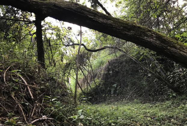 Carrizal, San Jose, ,Terreno,Venta,1028 Carrizal, San Jose, ,Terreno,Venta,1028