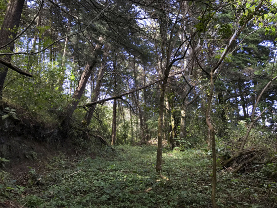 Carrizal, San Jose, ,Terreno,Venta,1028 Carrizal, San Jose, ,Terreno,Venta,1028