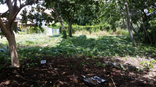 Rio Oro, San Jose, ,Terreno,Venta,1338