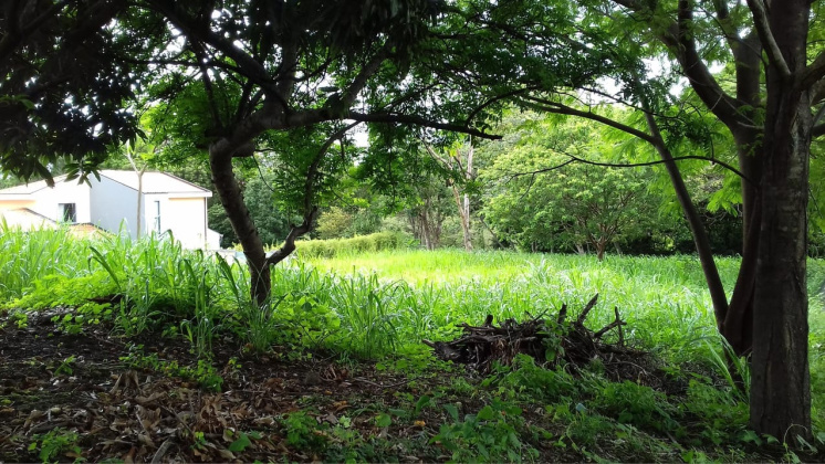 Rio Oro, San Jose, ,Terreno,Venta,1339 Rio Oro, San Jose, ,Terreno,Venta,1339