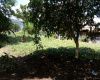 Rio Oro, San Jose, ,Terreno,Venta,1339 Rio Oro, San Jose, ,Terreno,Venta,1339