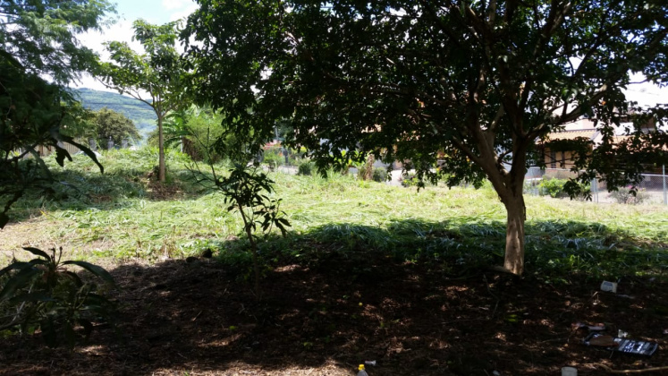 Rio Oro, San Jose, ,Terreno,Venta,1339 Rio Oro, San Jose, ,Terreno,Venta,1339