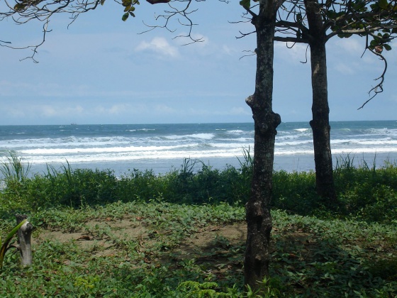 Playa Coyote, Guanacaste, ,Terreno,Venta,1381 Playa Coyote, Guanacaste, ,Terreno,Venta,1381