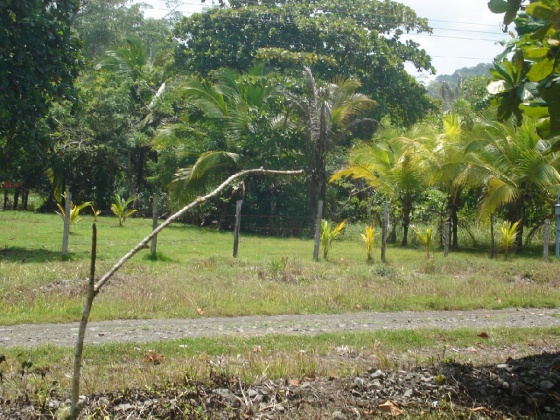 Playa Coyote, Guanacaste, ,Terreno,Venta,1381 Playa Coyote, Guanacaste, ,Terreno,Venta,1381