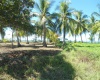 Playa Coyote, Guanacaste, ,Terreno,Venta,1381 Playa Coyote, Guanacaste, ,Terreno,Venta,1381
