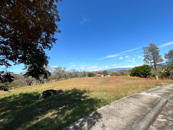 Guacima, Alajuela, ,Terreno,Venta,1385 Guacima, Alajuela, ,Terreno,Venta,1385