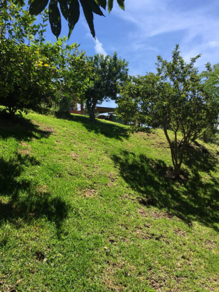 Heredia, 4 Bedrooms Bedrooms, 4 Rooms Rooms,4 BathroomsBathrooms,Casa,Venta,1503 Heredia, 4 Bedrooms Bedrooms, 4 Rooms Rooms,4 BathroomsBathrooms,Casa,Venta,1503