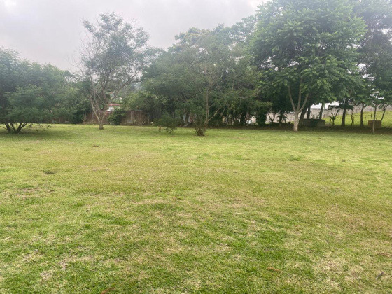 San Antonio, San Jose, ,Terreno,Venta,1518 San Antonio, San Jose, ,Terreno,Venta,1518