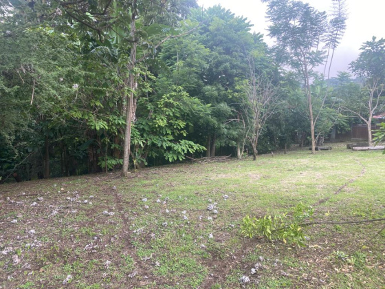San Jose, ,Terreno,Venta,1519 San Jose, ,Terreno,Venta,1519