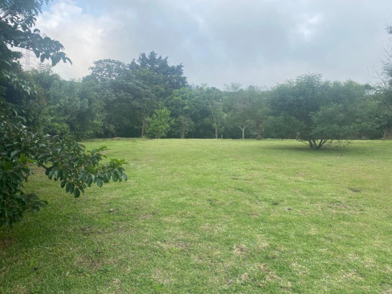 San Jose, ,Terreno,Venta,1519 San Jose, ,Terreno,Venta,1519