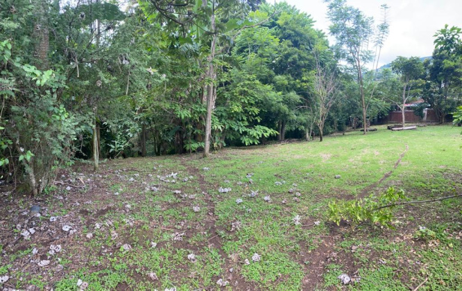 San Jose, ,Terreno,Venta,1519 San Jose, ,Terreno,Venta,1519