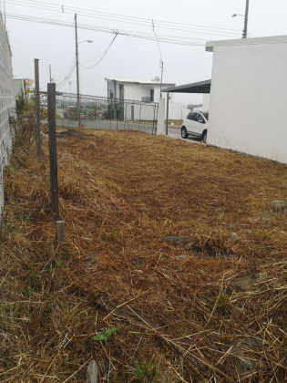 Cartago, ,Terreno,Venta,1531