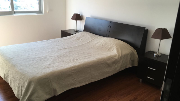 San Jose, 1 Bedroom Bedrooms, ,1 BathroomBathrooms,Apartment,Alquiler,1533