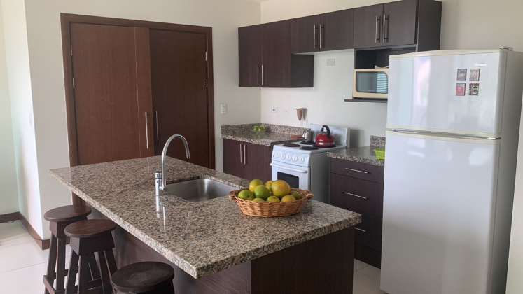 San Jose, 2 Bedrooms Bedrooms, ,2 BathroomsBathrooms,Apartment,Venta,1537