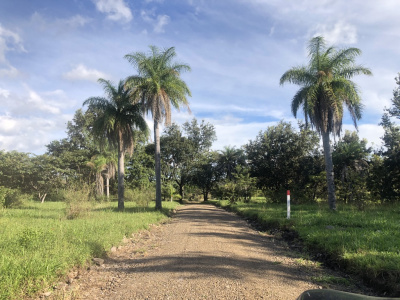 Guanacaste, ,Terreno,Venta,1559