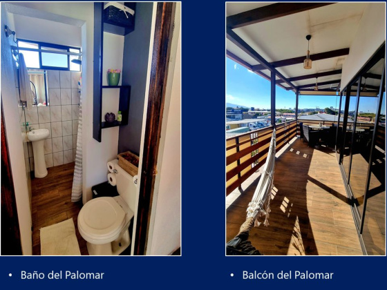 San Jose, 5 Bedrooms Bedrooms, 5 Rooms Rooms,2 BathroomsBathrooms,Casa,Venta,1589 San Jose, 5 Bedrooms Bedrooms, 5 Rooms Rooms,2 BathroomsBathrooms,Casa,Venta,1589