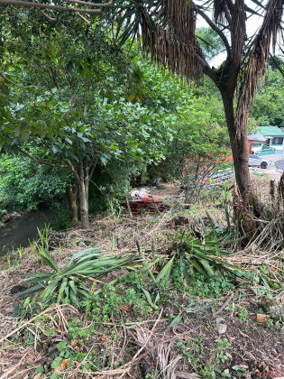 San Jose, ,Terreno,Venta,1601 San Jose, ,Terreno,Venta,1601