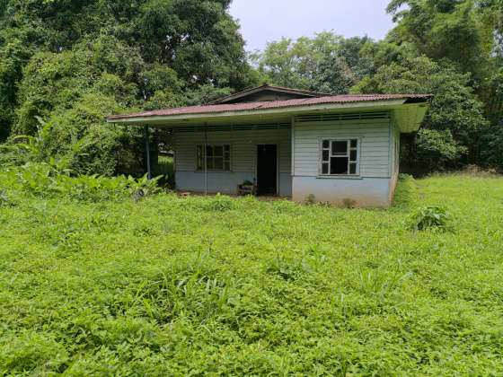 Naranjal, Guanacaste, ,Terreno,Venta,1650 Naranjal, Guanacaste, ,Terreno,Venta,1650