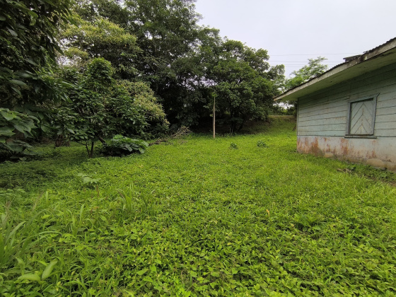 Naranjal, Guanacaste, ,Terreno,Venta,1650 Naranjal, Guanacaste, ,Terreno,Venta,1650