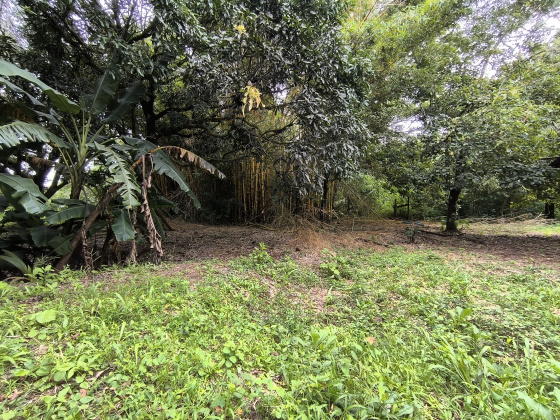 Naranjal, Guanacaste, ,Terreno,Venta,1650 Naranjal, Guanacaste, ,Terreno,Venta,1650