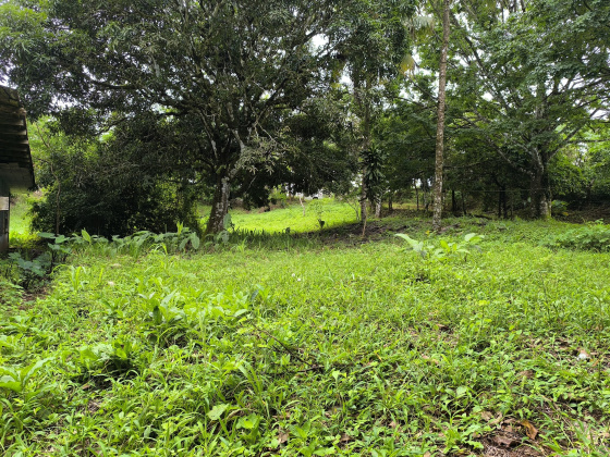 Naranjal, Guanacaste, ,Terreno,Venta,1650 Naranjal, Guanacaste, ,Terreno,Venta,1650