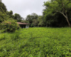 Naranjal, Guanacaste, ,Terreno,Venta,1650 Naranjal, Guanacaste, ,Terreno,Venta,1650