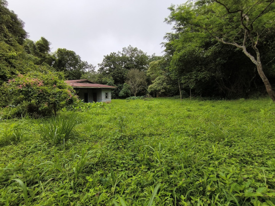 Naranjal, Guanacaste, ,Terreno,Venta,1650 Naranjal, Guanacaste, ,Terreno,Venta,1650