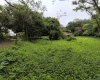 Naranjal, Guanacaste, ,Terreno,Venta,1650 Naranjal, Guanacaste, ,Terreno,Venta,1650