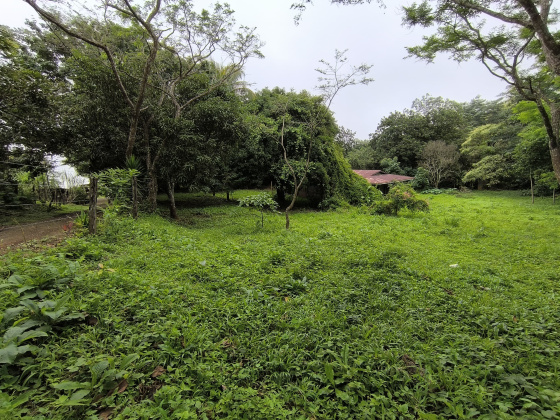 Naranjal, Guanacaste, ,Terreno,Venta,1650 Naranjal, Guanacaste, ,Terreno,Venta,1650
